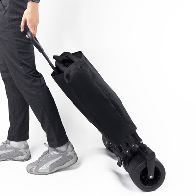 Wózek Wozinsky WZP-100 plażowy, turystyczny, ogrodowy, wytrzymały, szerokie koła, z siatką bezpieczeństwa do 100 kg - czarny