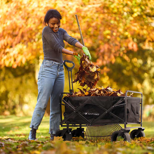 Wózek Wozinsky WZP-100 plażowy, turystyczny, ogrodowy, wytrzymały, szerokie koła, z siatką bezpieczeństwa do 100 kg - czarny