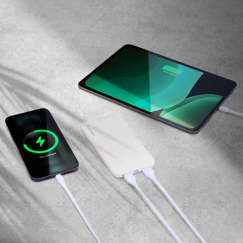 Wozinsky powerbank Li-Po 10000mAh 2 x USB biały (WPBWE1)